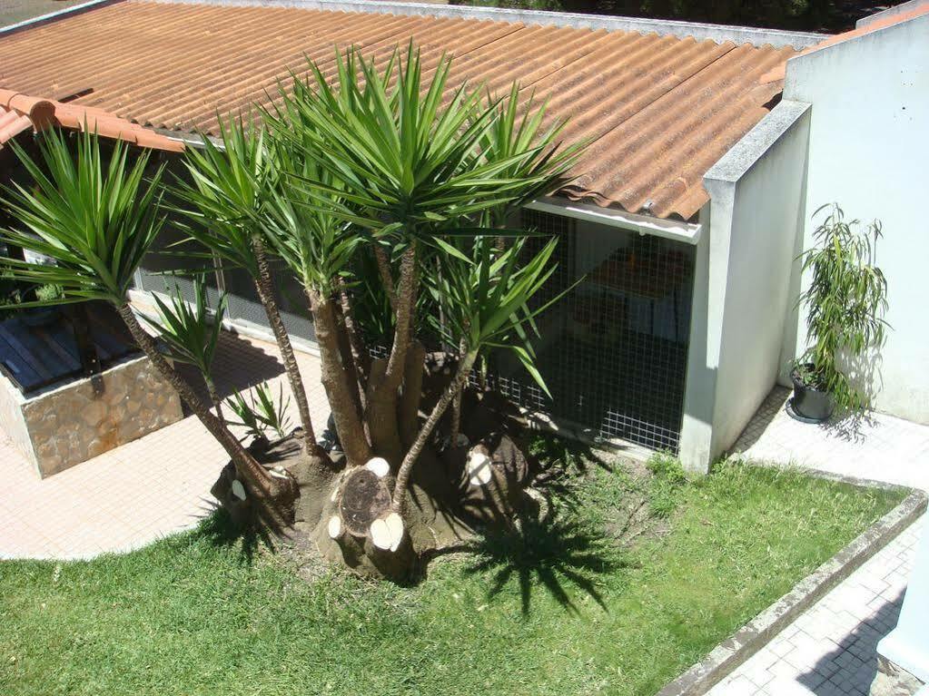 Casa De Hospedes Flor Do Jardim Malveira Luaran gambar